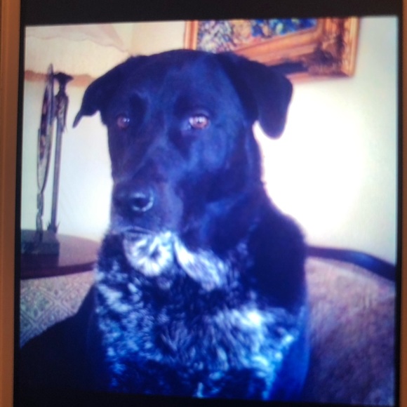 Meet your Posher, Lori - Picture 6 of 13